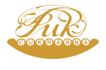Primary Raster logo